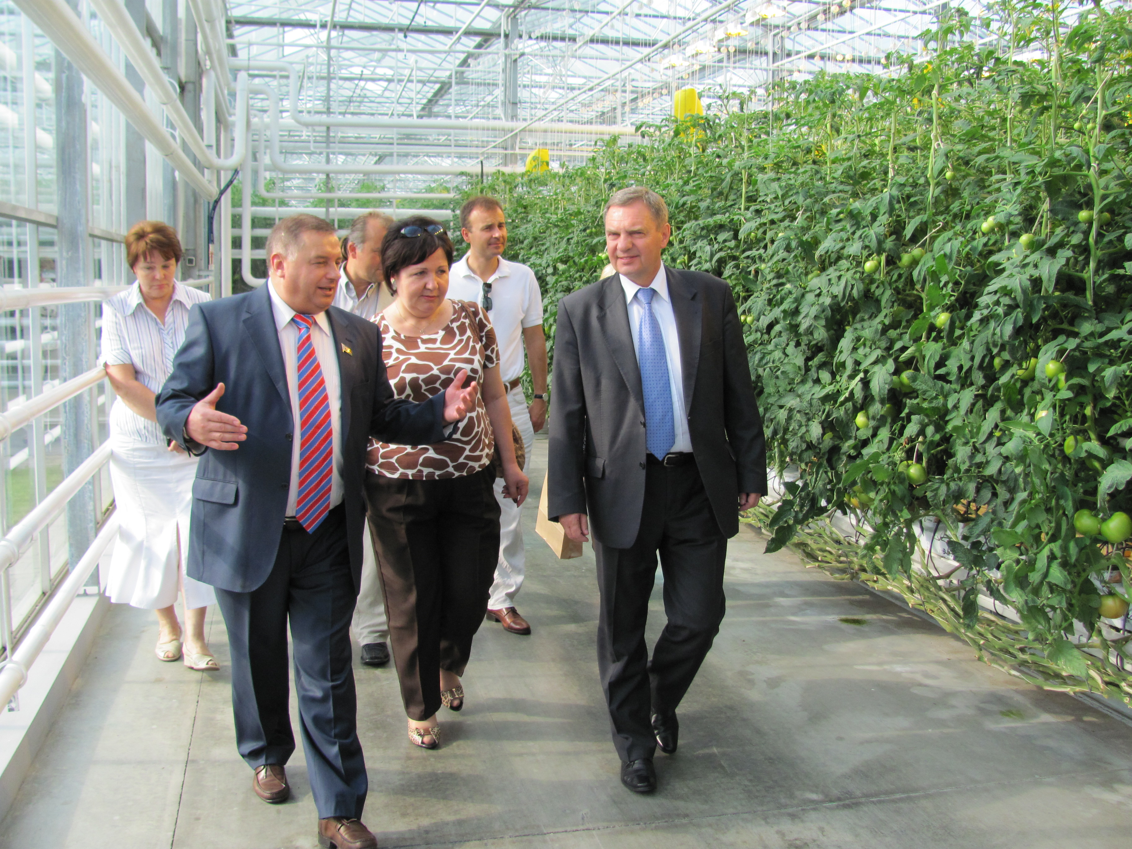 W nowoczesnym agrokombinacie, liczącym 600 ha.