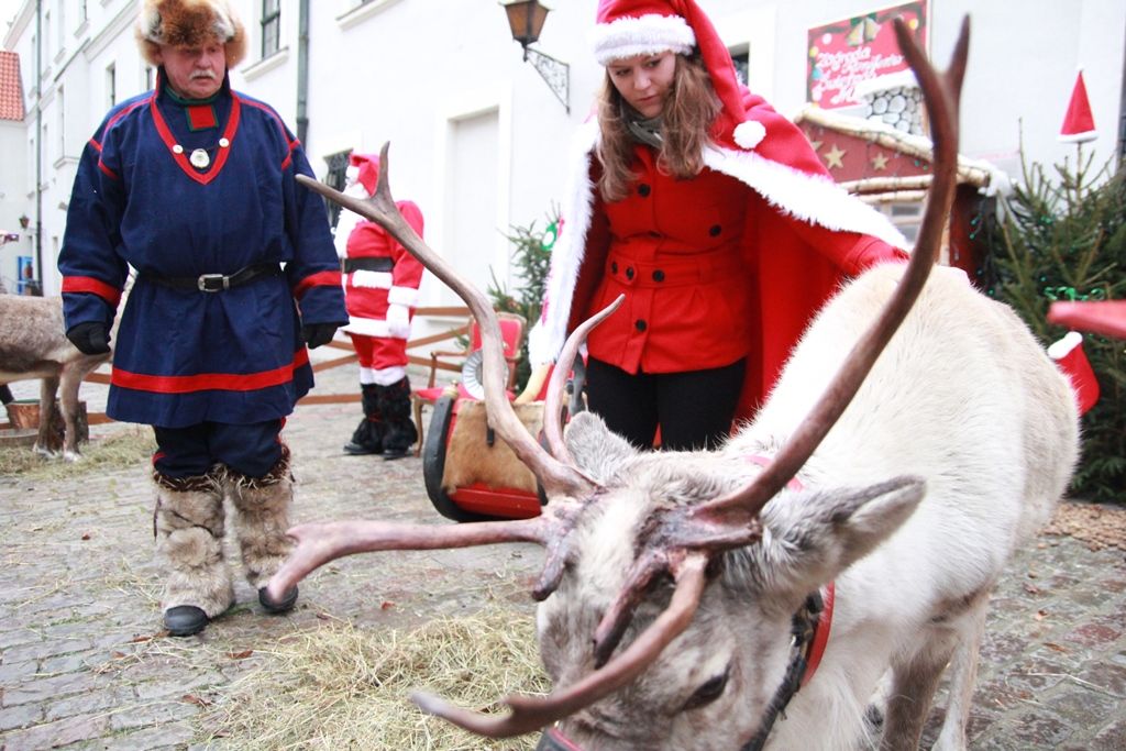 Na dziedzińcu menniczym stanęła żywa szopka oraz zagroda Świętego Mikołaja z reniferami, idealna do pamiątkowego, świątecznego zdjęcia.