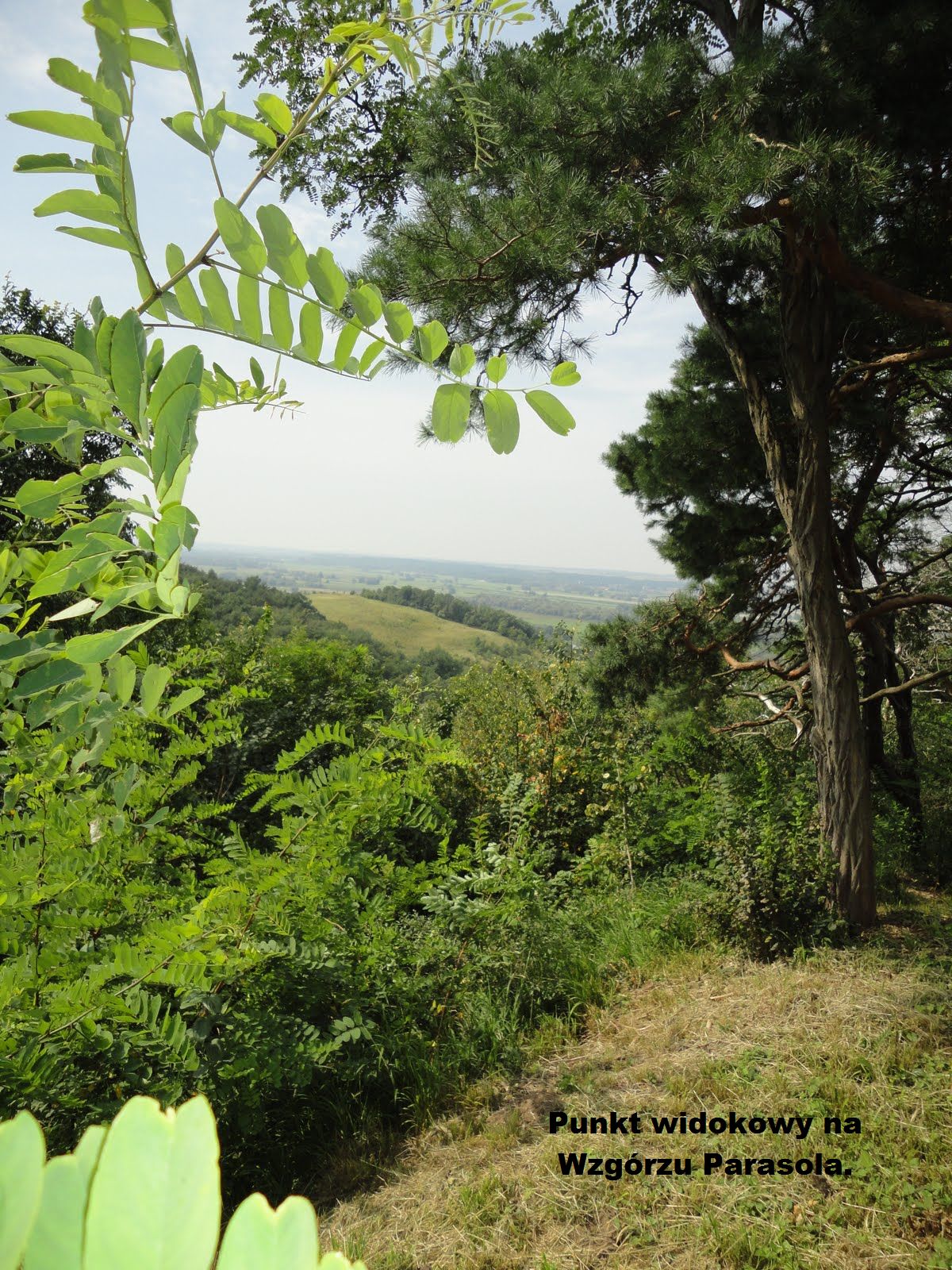 Jeden z urokliwych zakątków Parku Dolina Miłości w Zatoni Dolnej (nagroda marszałka w III edycji).